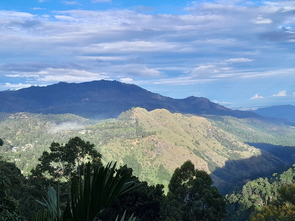Ella Golden view guest view 5