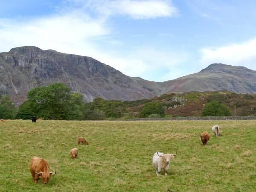 Raceside Farm