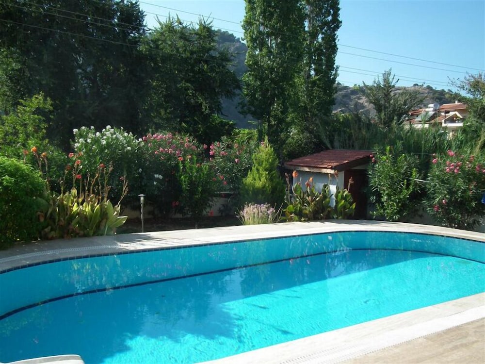 Photo 41