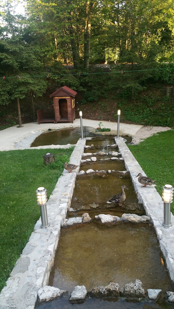 Rustic Inn River 2