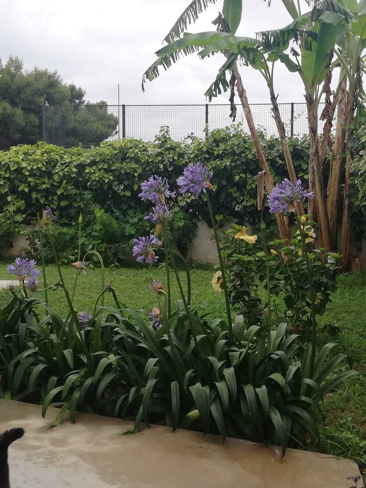 Photo 26