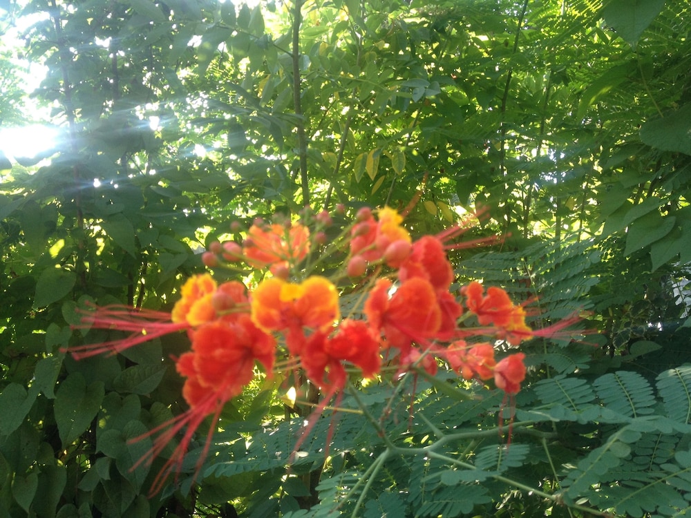 BB La Casita del Farallon - Property Image 14