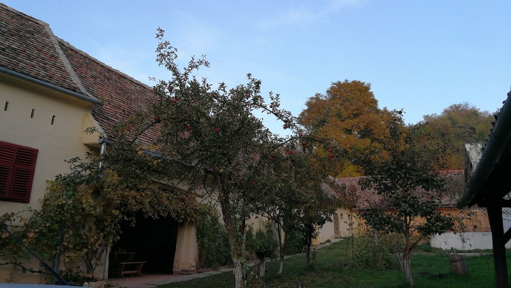 Casa Arthur