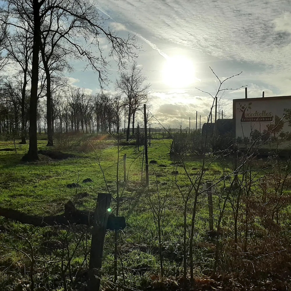 Beautiful Group Accommodation Near our own Food Forest