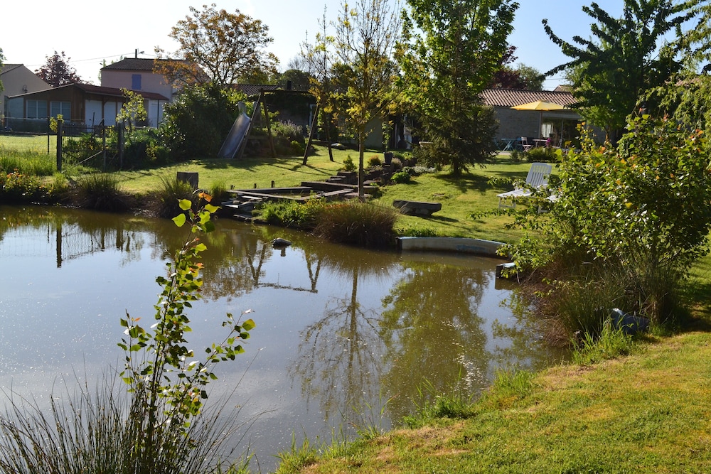 Photo 51