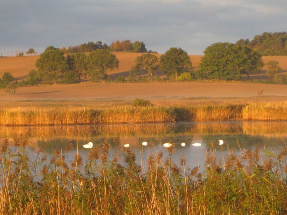 Schittering van de Zee