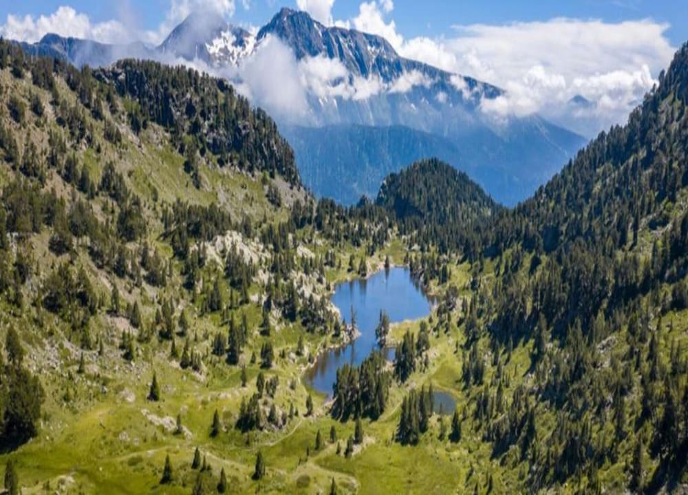 Alpine Comfort for Six Guests