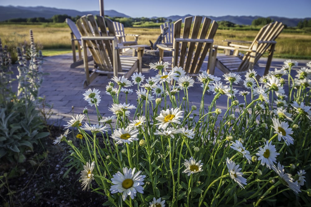Dreamcatcher Bed and Breakfast