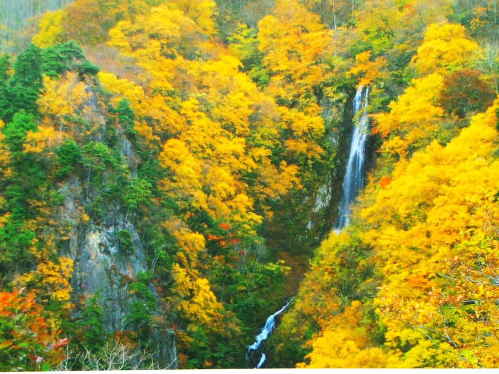 Guesthouse Nashimotoken view 5