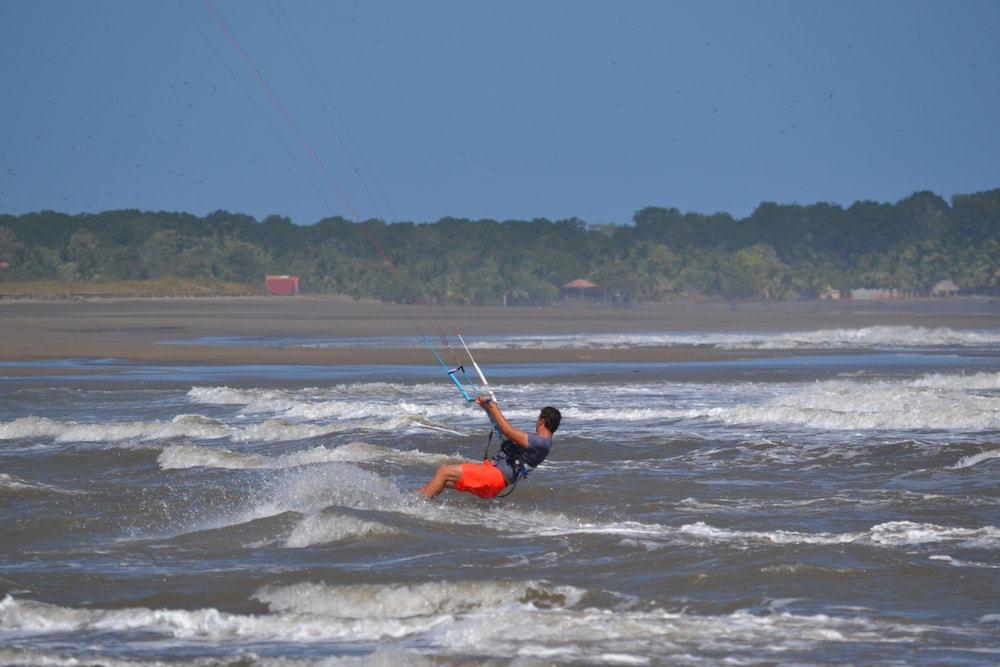 Photo 44
