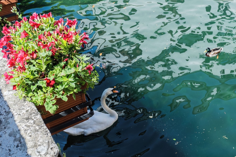 Romantic Pier by Rent all Como