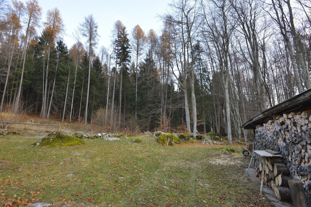 Photo 24