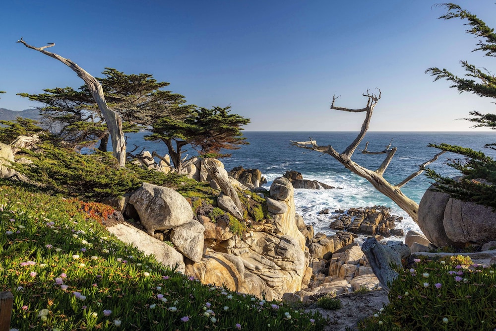 Marina Vacations - Home2 Suites by Hilton at the Dunes on Monterey Bay - Property Image 9