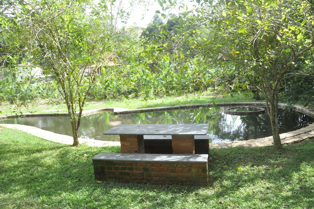 Photo 46