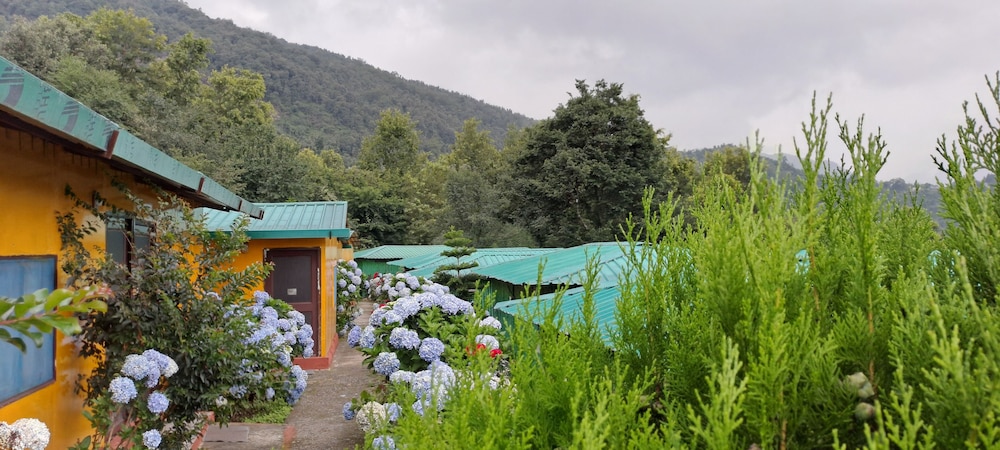 Kedar Resorts