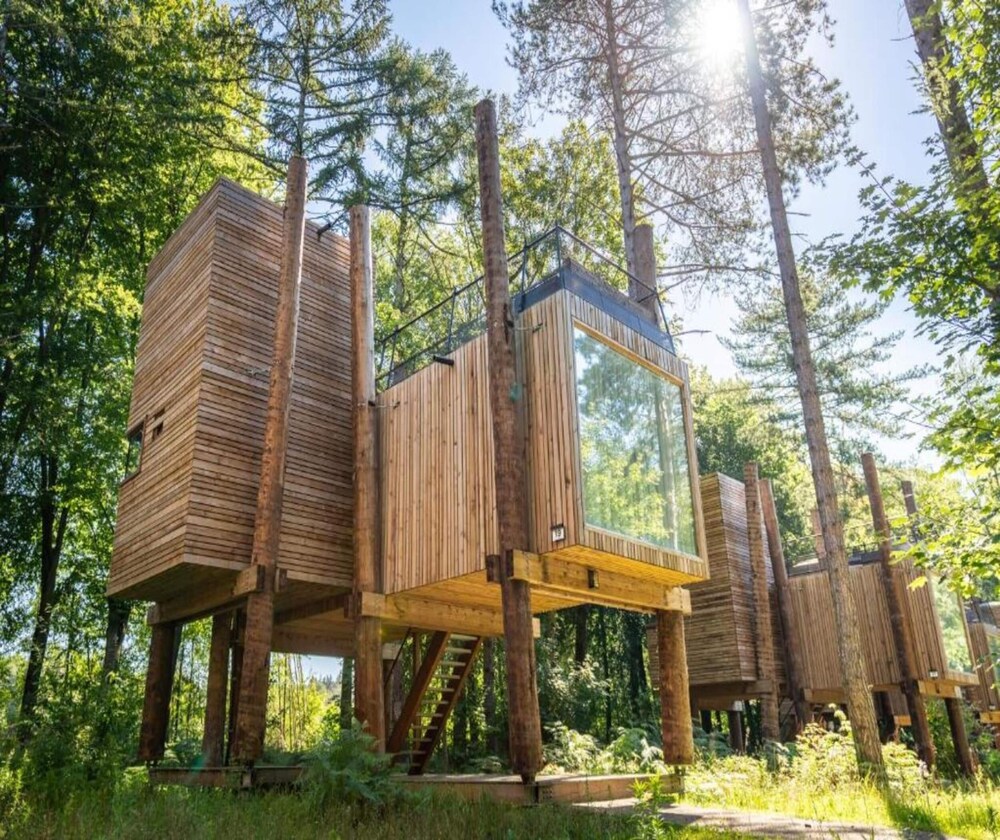 Treehouse in Tournai With Sauna & Forest Views