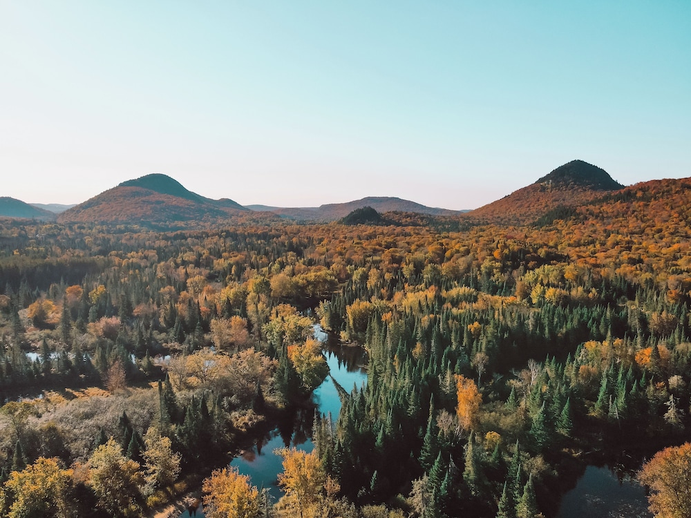 Farouche Tremblant