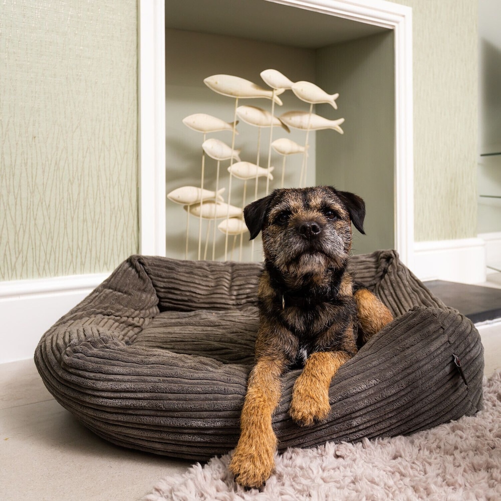 Pippin Cottage