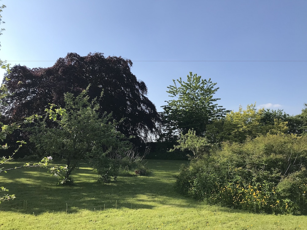 Broncoed Uchaf Country Guest House