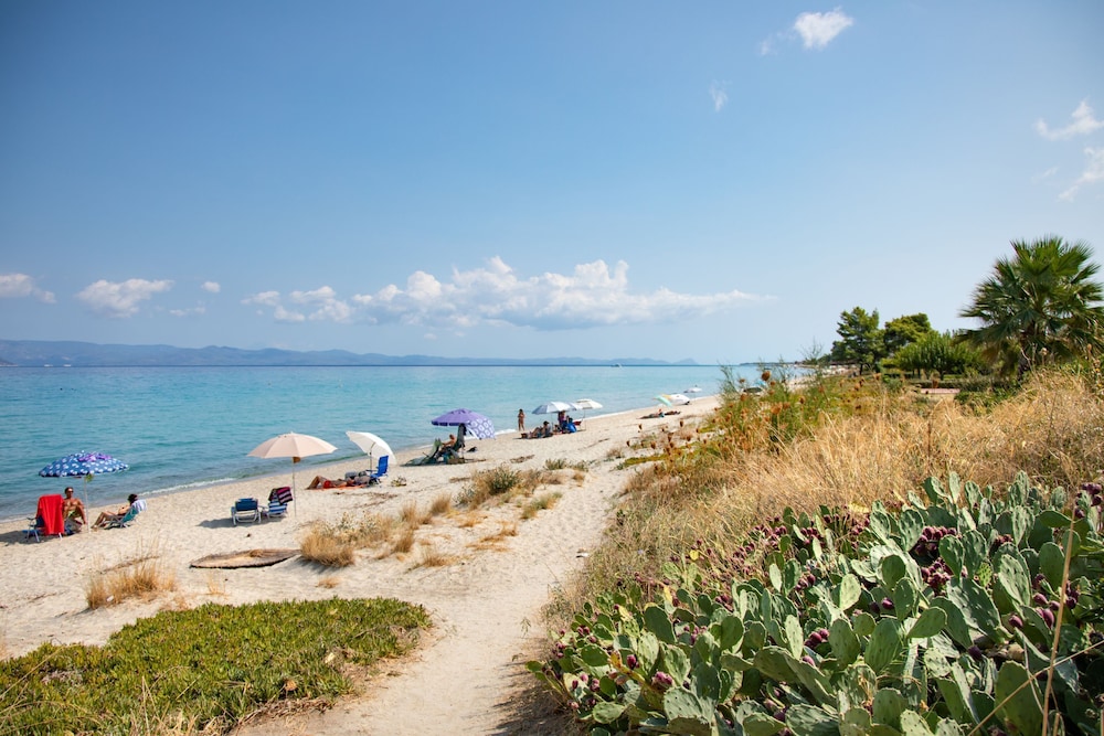 Olive Grove Panorama Suite Exi