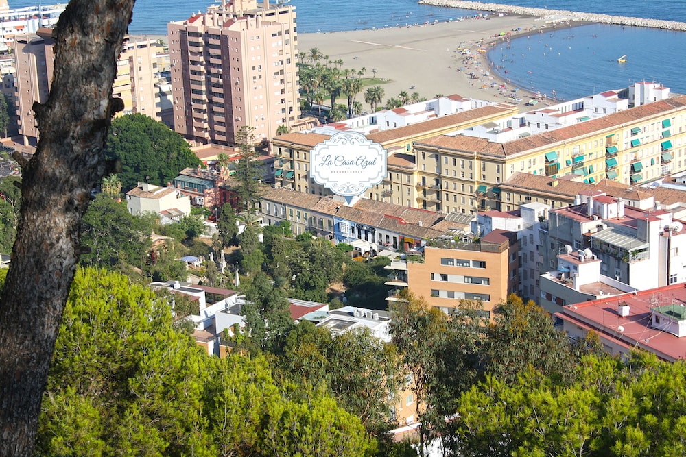 La Casa Azul B&B   Apartments
