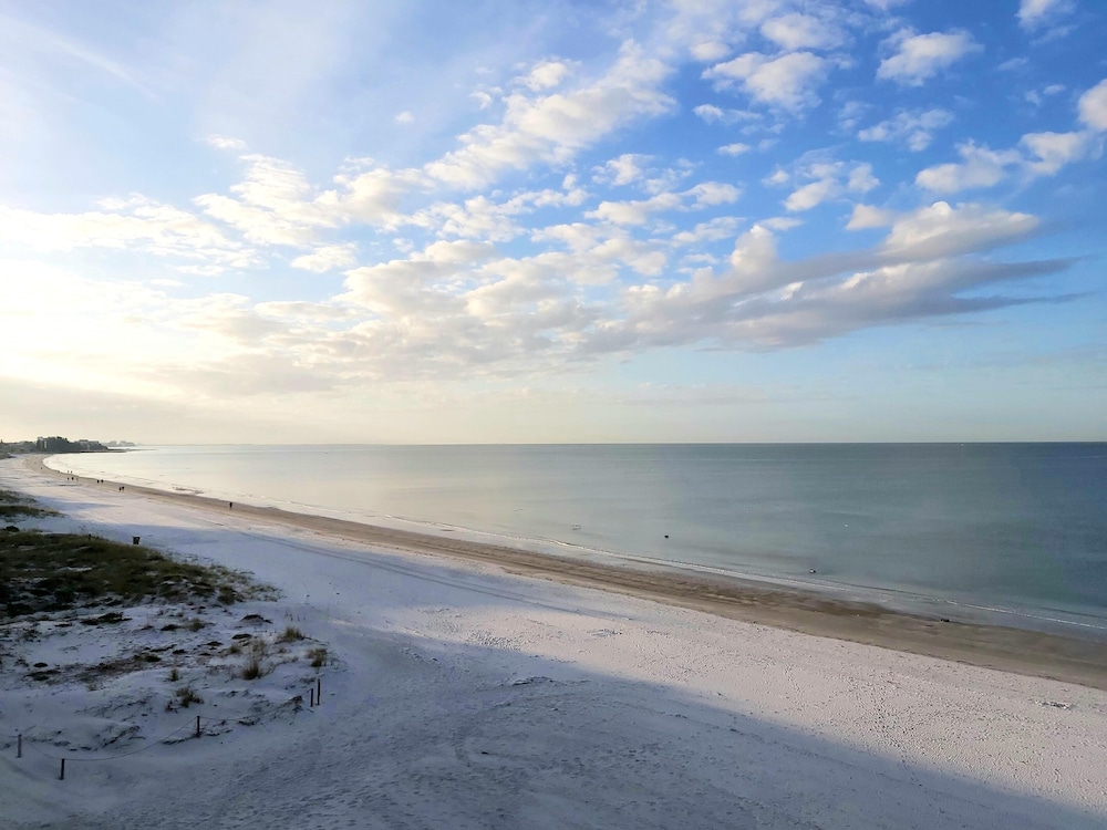 Sand Dollar 107
