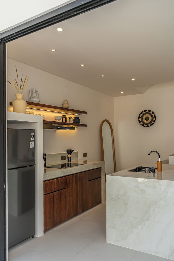 Nova Oasis 1