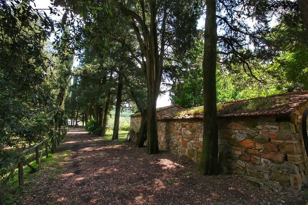 Bellavista farm of Quercini Maurizio