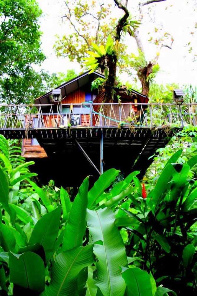 Khao Sok Tree House