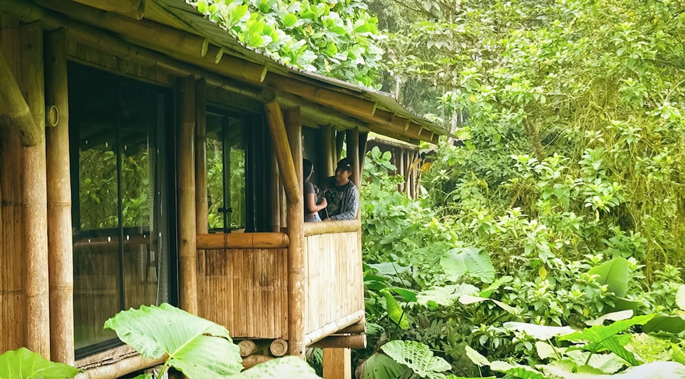 Jardin de los Suenos
