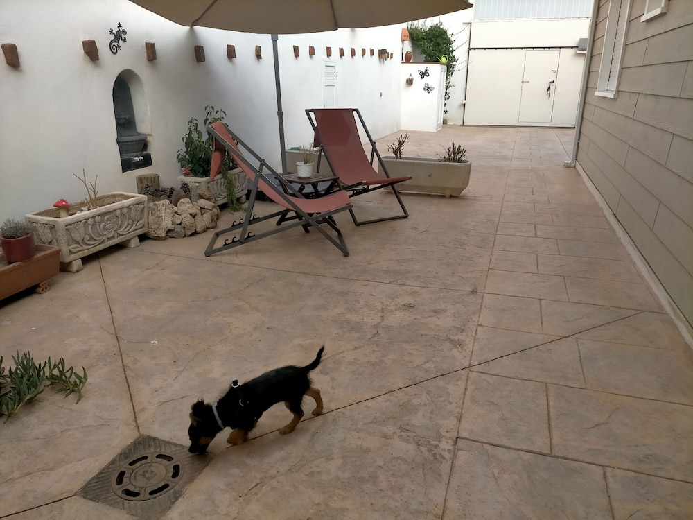 Photo 21