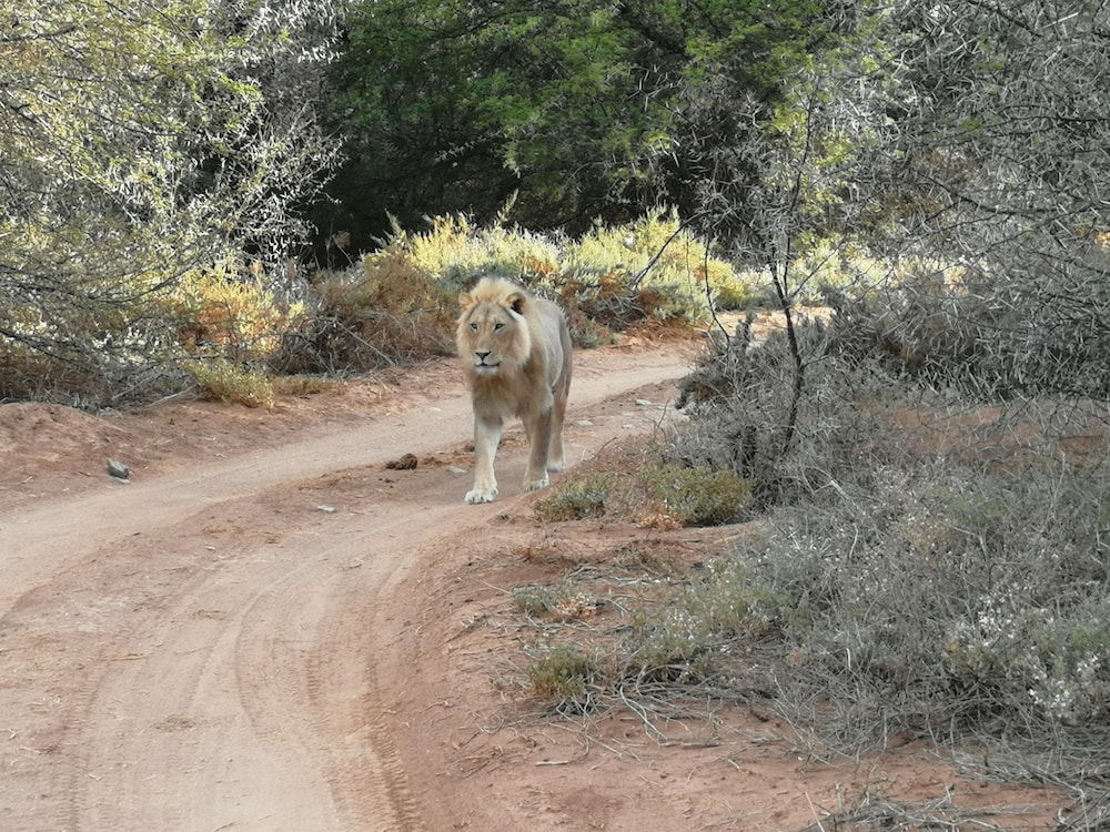Photo 22