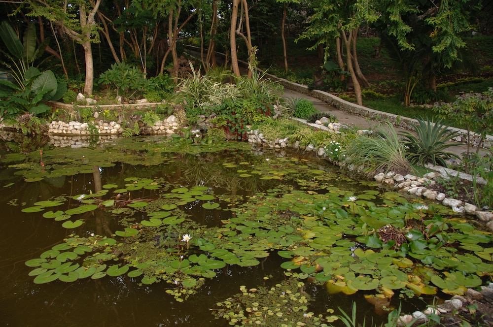 NoaNoa Island