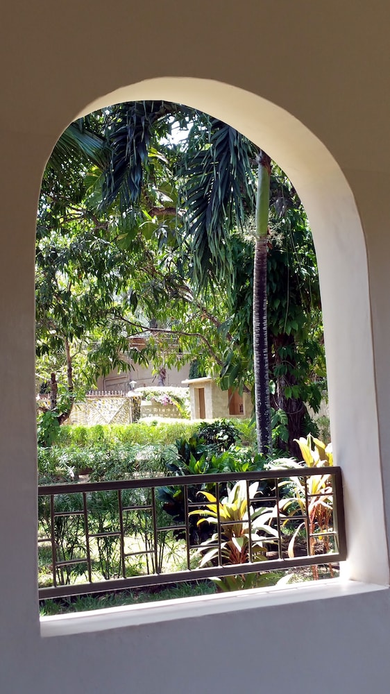Jamboland-Diani