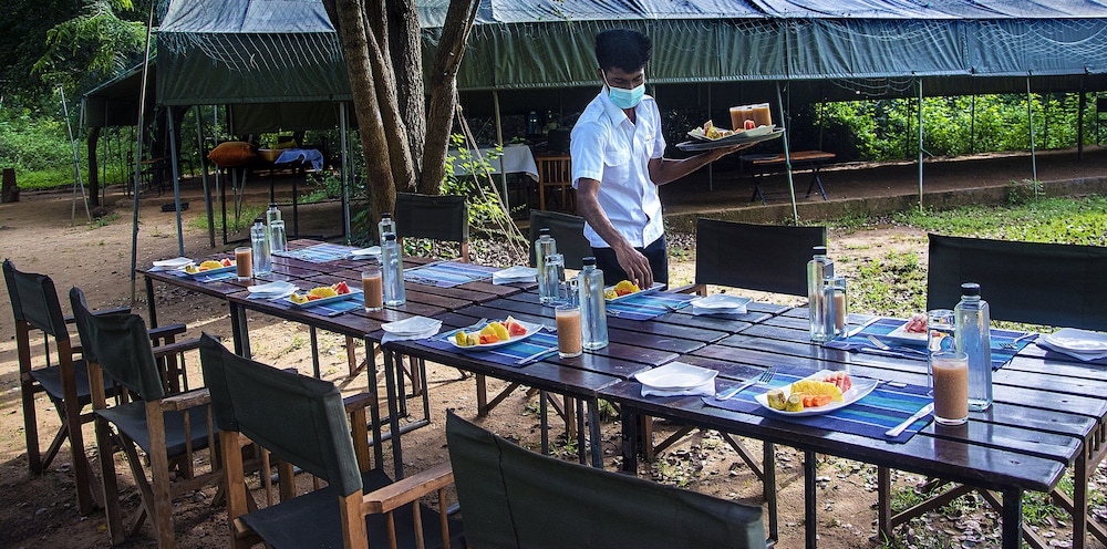 Big Game Yala by Eco Team