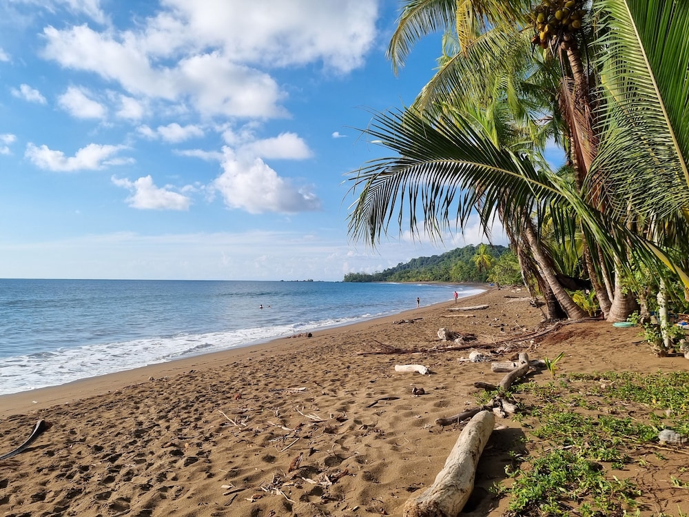 Cabinas Pura Vida Bed & Breakfast