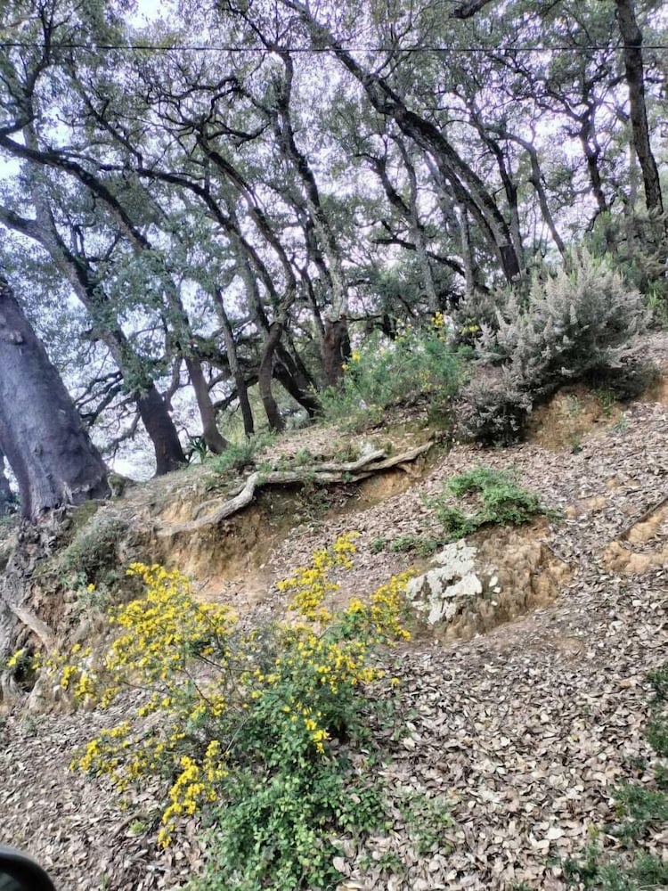 Les chaumières de Aindraham