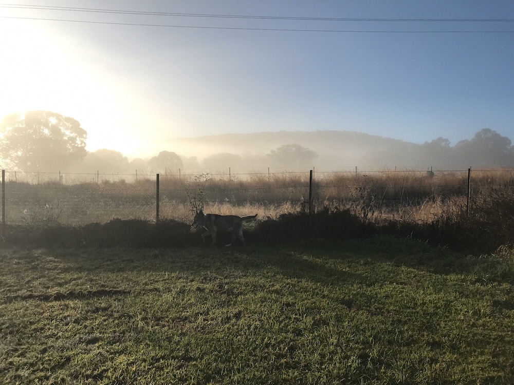 Spacious Family Retreat on the Edge of Tenterfield