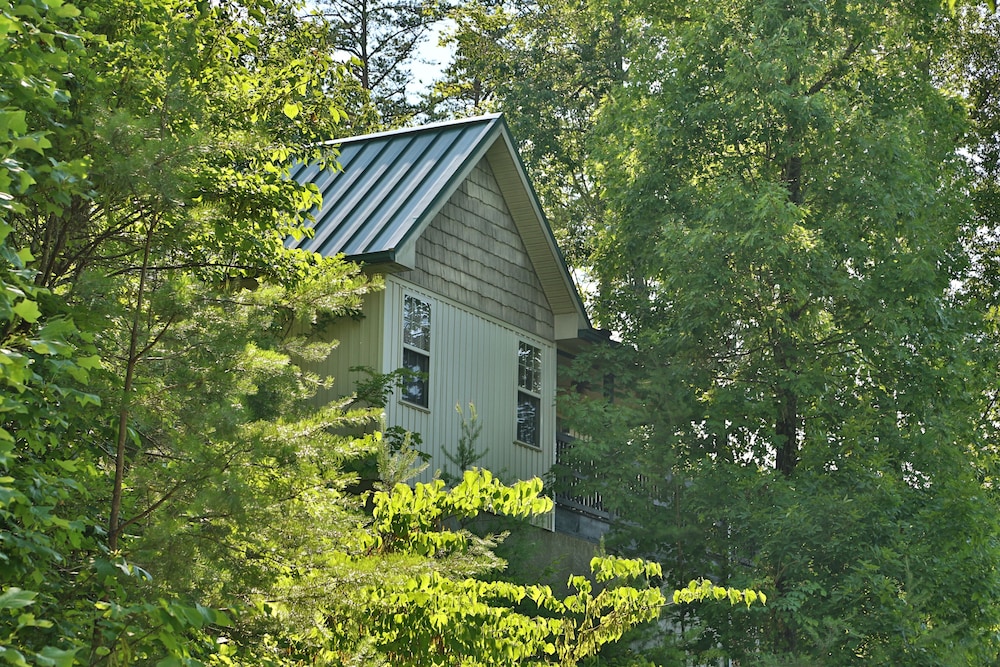 Pine Needles 6 1 Br cabin by RedAwning