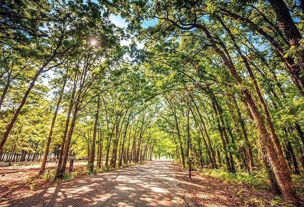 Lake Tawakoni RV Campground