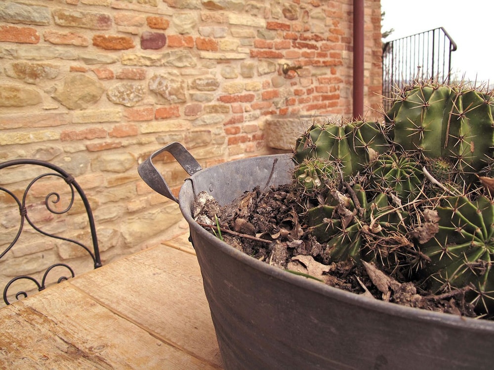 Castello di Granarola Relais – Adults Friendly