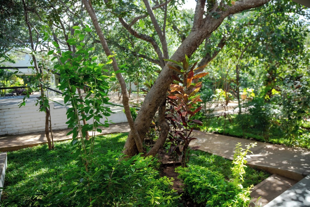 Kasambabezi Lodge