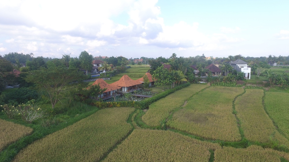 Griya KCB Villa Ubud - Image 1