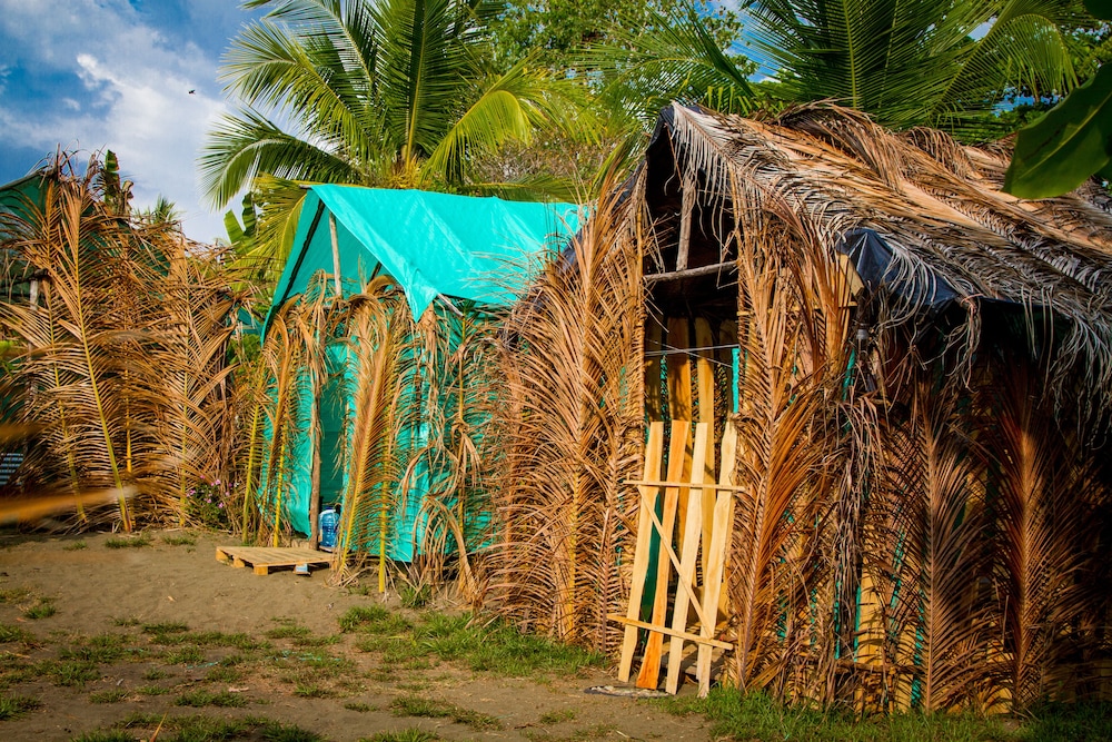 Miguel Surf  Camp