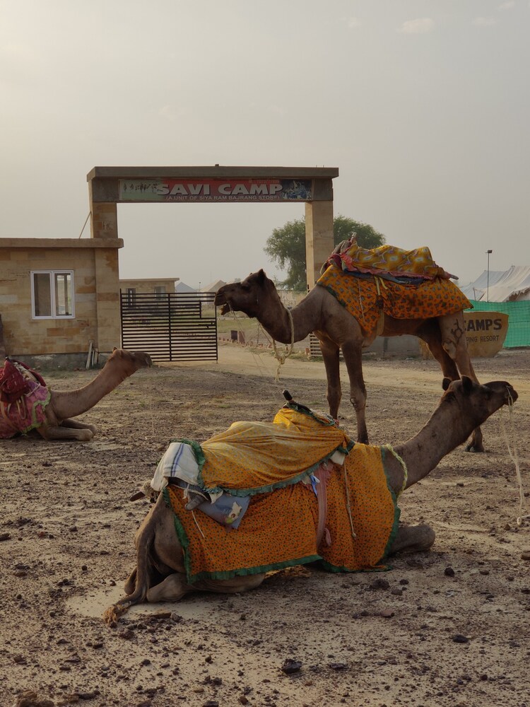 Savi Camps