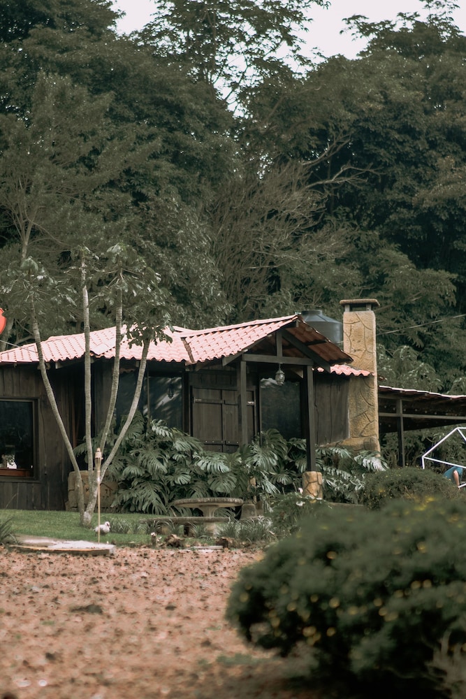 Photo 43