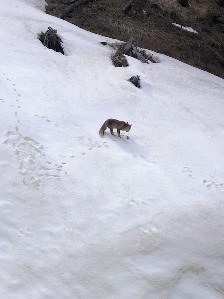 Appartamento Vacanze Sestriere