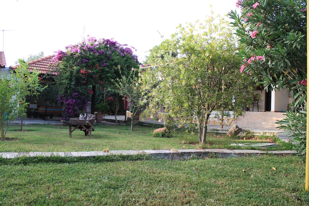 Joanna's studios