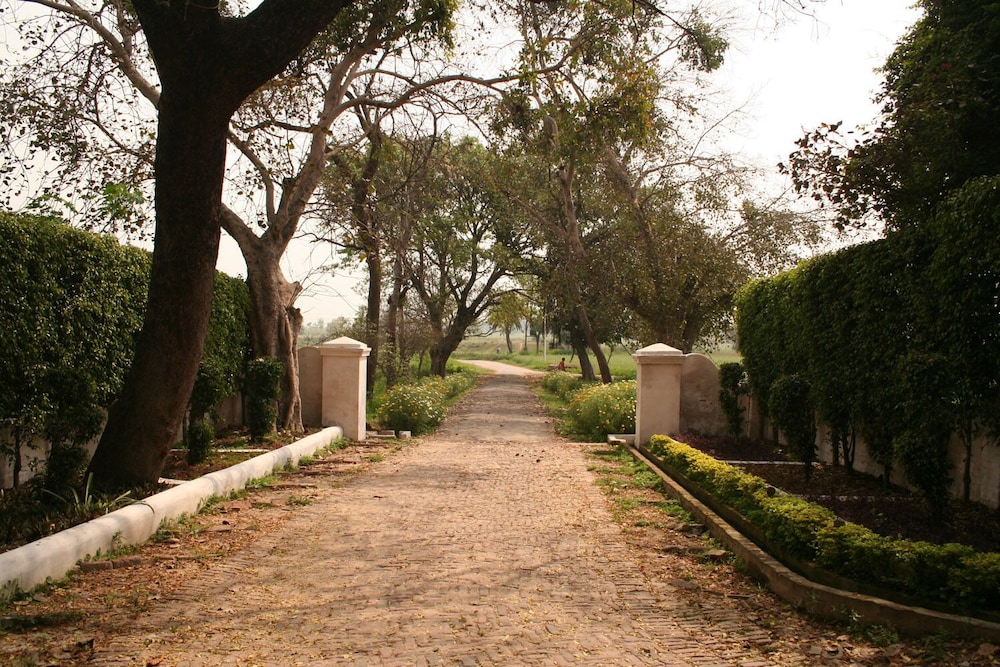 Photo 20
