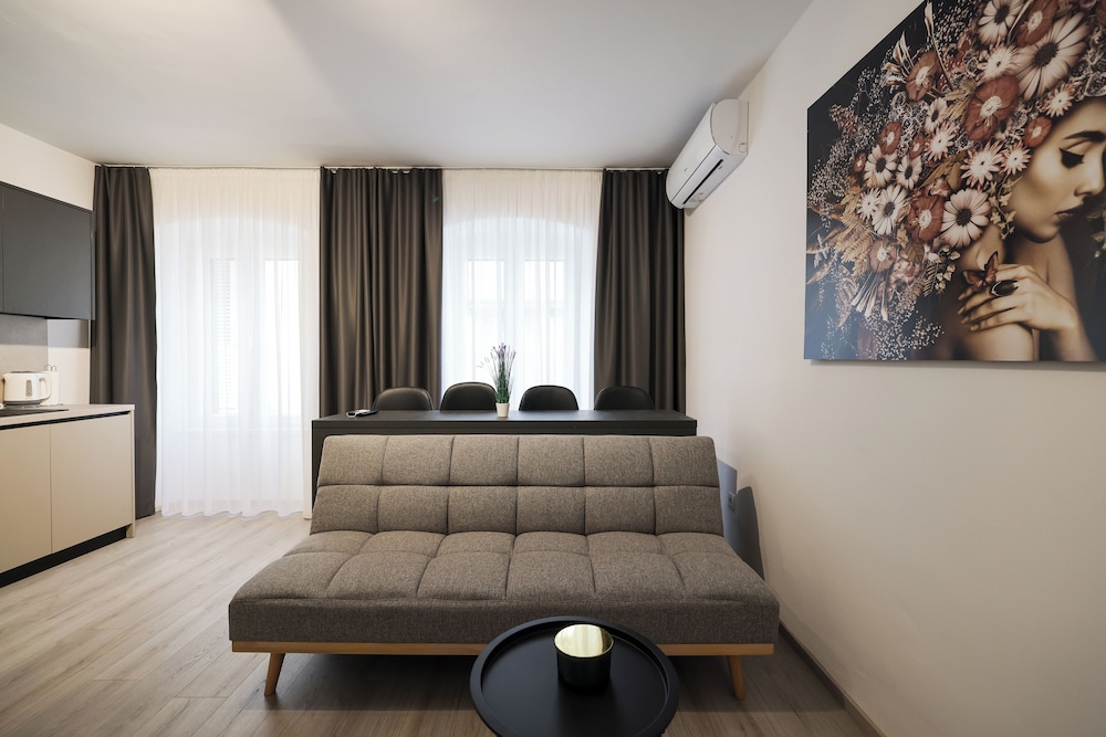 Classy apartments in city center